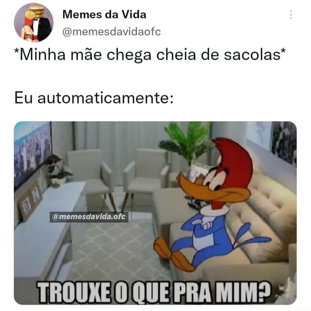 Memes Da Vida Minha M E Chega Cheia De Sacolas Eu Automaticamente