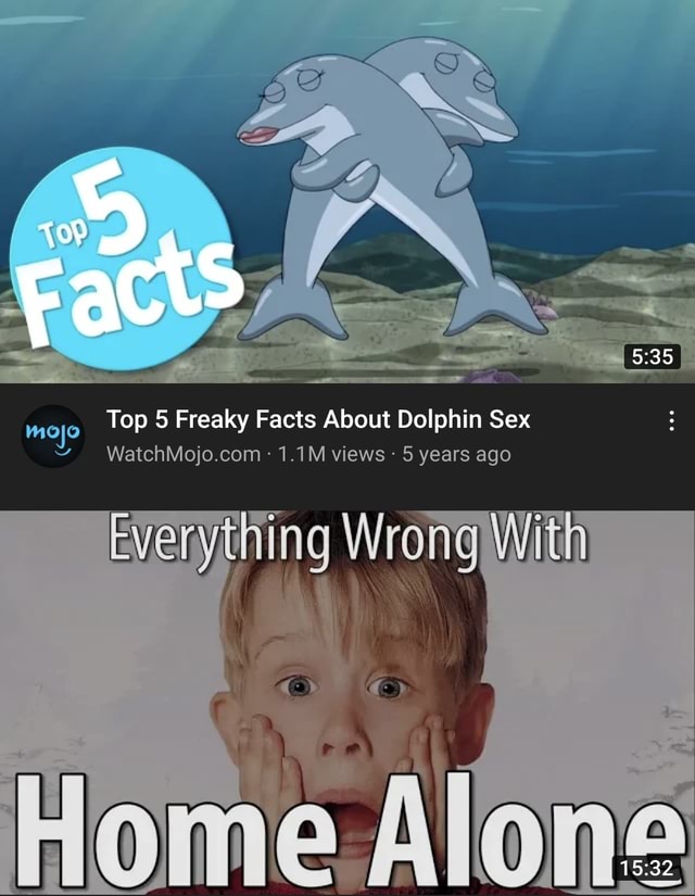 Mojo Top Freaky Facts About Dolphin Sex Watchmojo M Views