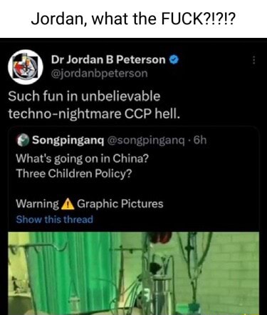 Dan What The Fuck Dr Jordan B Peterson Such Fun In Unbelievable