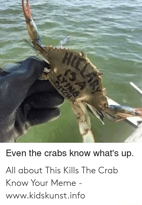 Even The Crabs Know What S Up All About This Kills The Crab Know Your