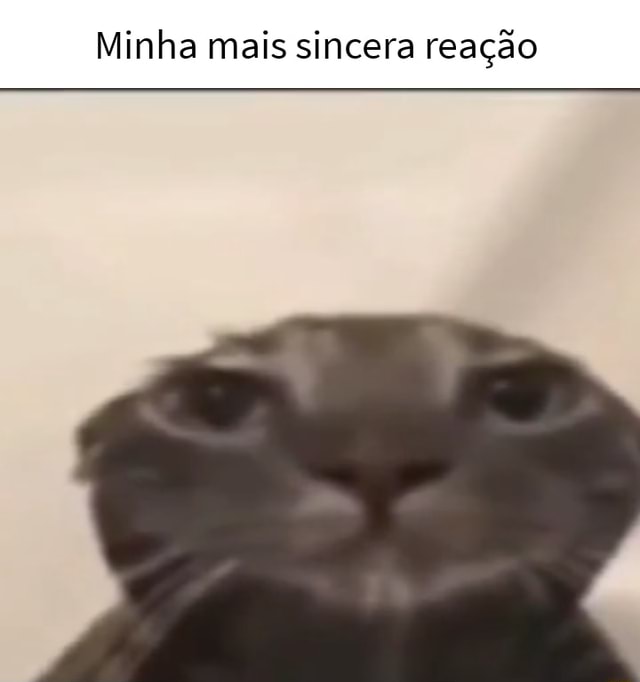 Minha mais sincera reação iFunny Brazil