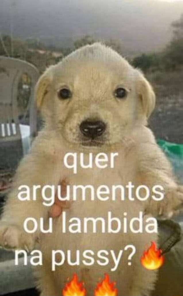 Quer Os Ou Lambida N Pussy Ifunny Brazil