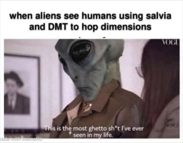 When Aliens See Humans Using Salvia And Dmt To Hop Dimensions Is Is The