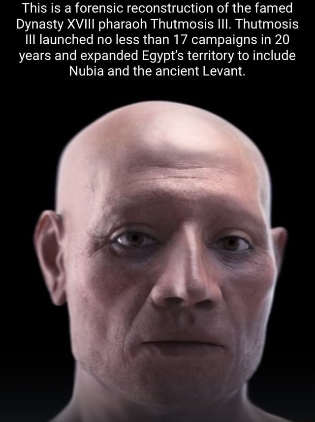 This Is A Forensic Reconstruction Of The Famed Dynasty Xviii Pharaoh