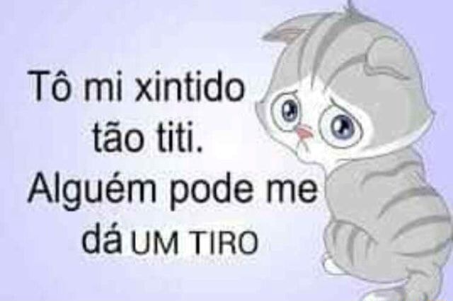 T Mi Xintido T O Titi Algu M Pode Me Um Tiro Ifunny Brazil