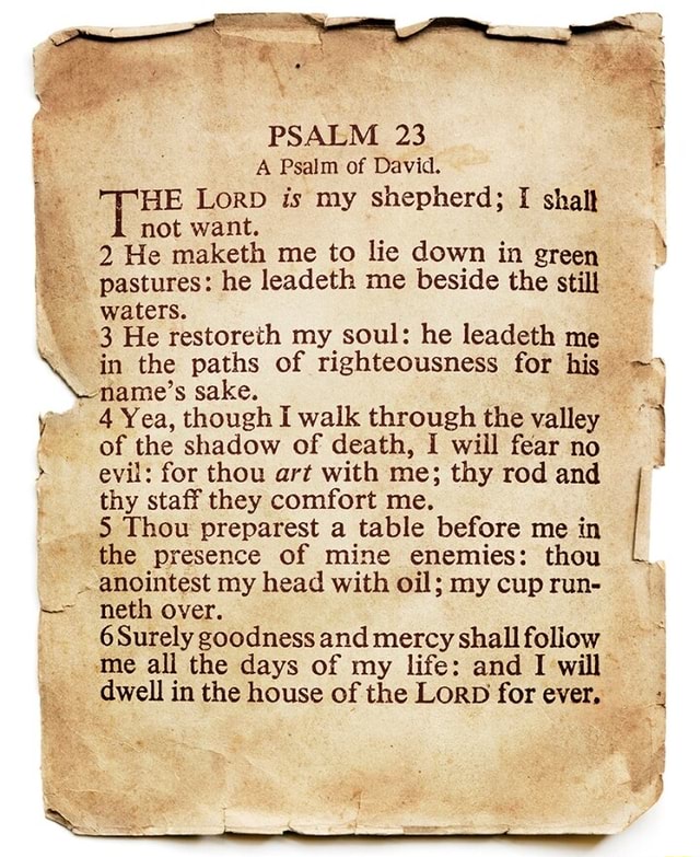 Psalm A Psalm Of David Lord Is My Shepherd I Shalt Not Want He