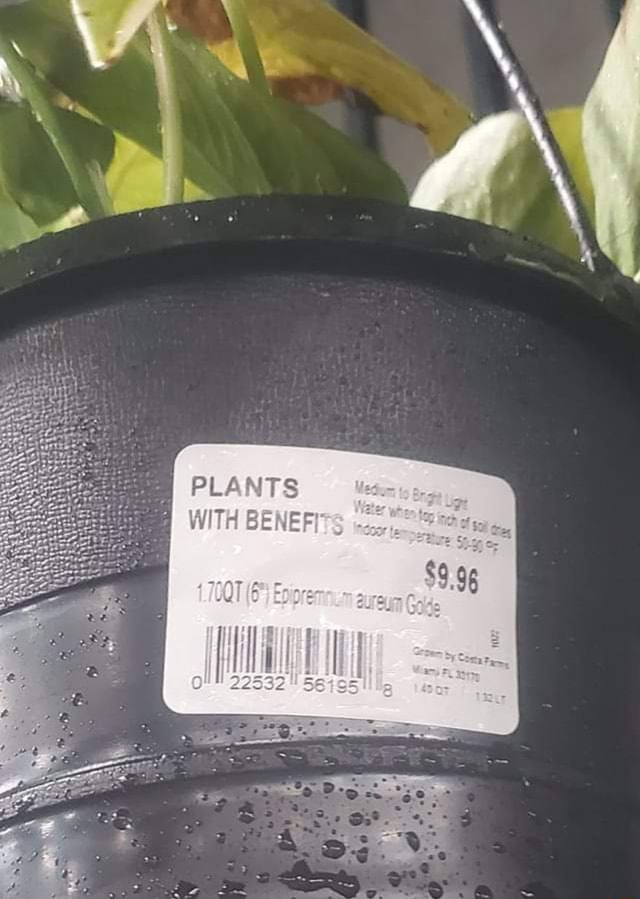 PLANTS WITH RE W TH BENEF