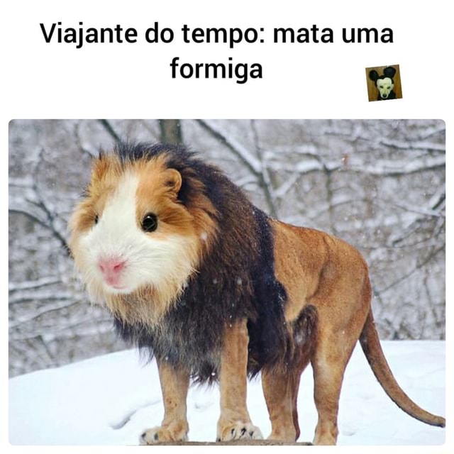 Viajante Do Tempo Mata Uma Formiga Ifunny Brazil