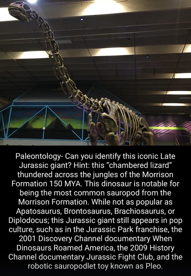 Paleontology Can You Identify This Iconic Late Jurassic Giant Hint