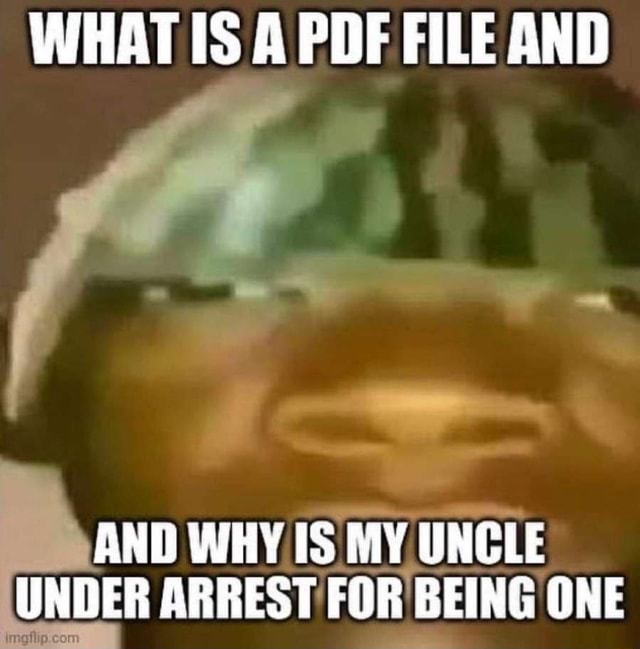 What Is A Pdf File And And Why Is My Uncle Under Arrest For Being One