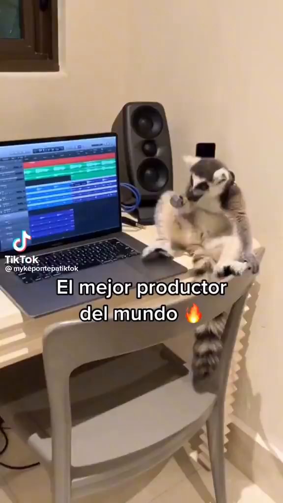 Tiktok Ei Mejor Productor Del Mundo Ifunny