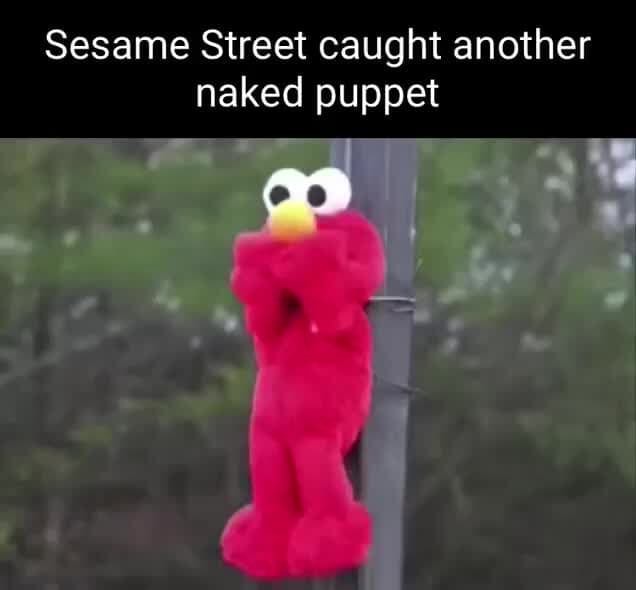 Sesame Street Caught Another Naked Puppet Ra Ifunny