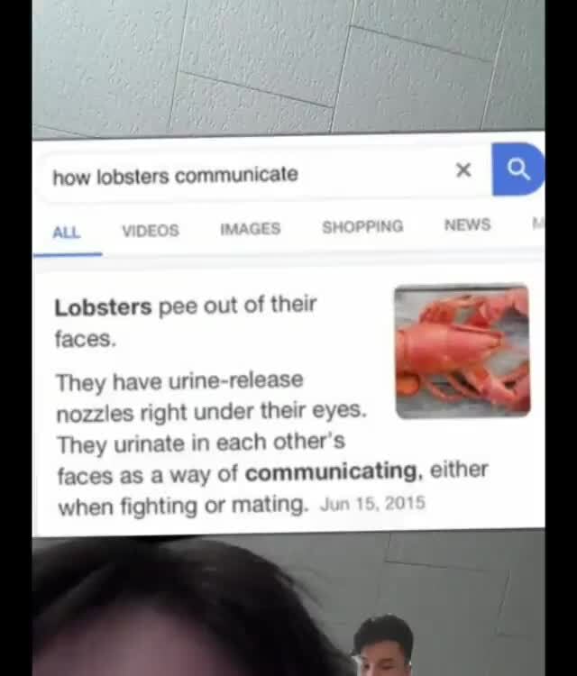 Lobsters Pee Out Of Their Faces Pee They Have Urine Re Nozzles Right