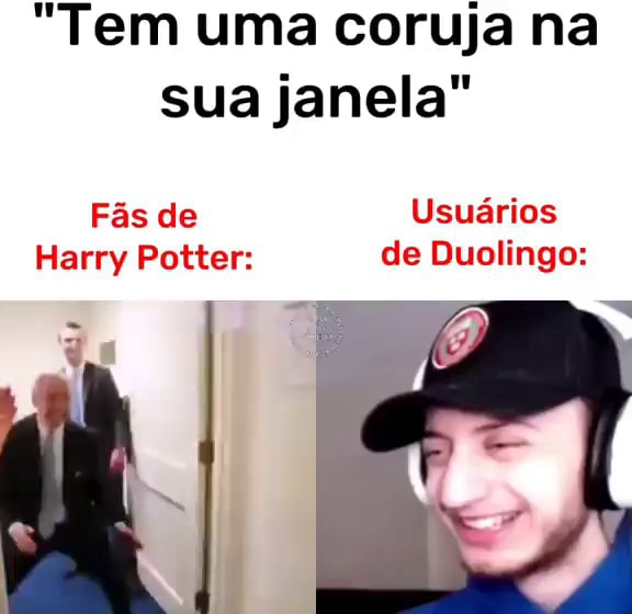 Tem Uma Coruja Na Sua Janela F S De Usu Rios Harry Potter De