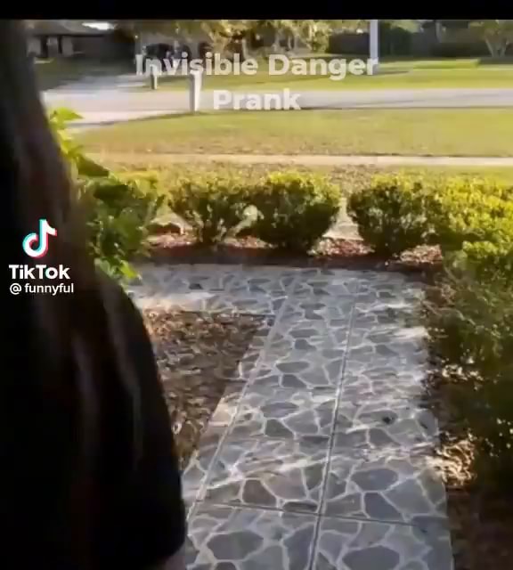 Danger TikTok IFunny