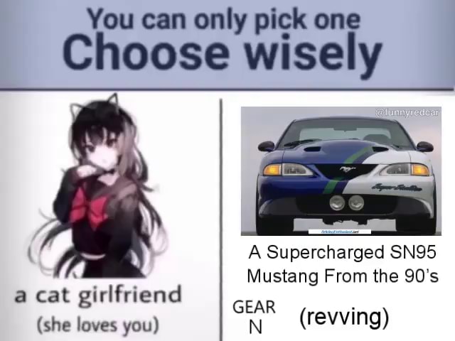 You Can Only Pick One Choose Wisely A A Supercharged SN95 Mustang