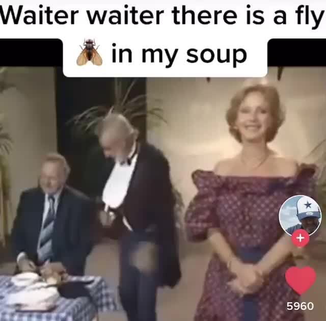 Waiter Waiter There Is A Fly In My Soup Ifunny