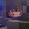 Blow Axolotls in minecraft spawn in caves but in real life axolotls don ...