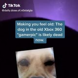 Daily Dose Of Noste Making You Feel Old The Dog In The Old Xbox 360 Gamerpic Is Likely Dead Now Ifunny