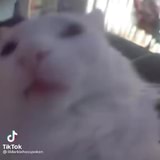 You Re So Sussy I Know You Took My 19 Dollar Fortnite Card