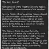 The Lawt Guard * Probably one ot the most fascinating fossils found and in  my apinion ene of the nadest 'Saveral fonsis of pstacassaur puppies found  by paleontologist Dean Lomax under the '