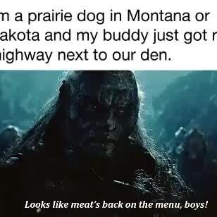 Kingoferebor Looks Like Meat S Back On The Menu Boys Mrw I M A Prairie Dog In Montana Or North Dakota And My Buddy Just Got Run Over On The Highway Next To Our