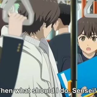 Anime Hello World Then What Should Ldo Sense Anime Hello World Then What Should Ldo Sense