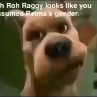 Ruh Roh Raggy Looks You