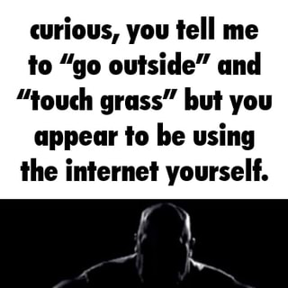 Go outside and touch grass  Go outside, The outsiders, Memes