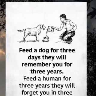 th Feed a dog for three days they will remember you for three