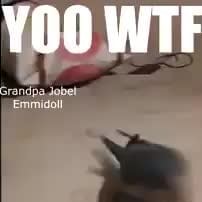 Emmidoll THIS BIRD BE EATIN CRACK - iFunny