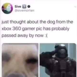Sive Jo Just Thought About The Dog From The Xbox 360 Gamer Pic Has Probably Passed Away By Now