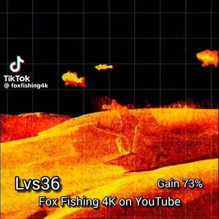 TikTok loxtishingak Lvs36 Gain 73% Fox Fishing on  GARMIN - iFunny