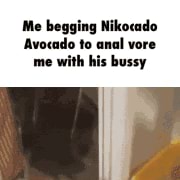 Nikocado avocado bussy