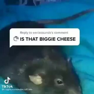 funny biggie cheese memes｜TikTok Search