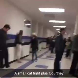 A Small Cat Fight Plus Courtney A Small Cat Fight Plus Courtney