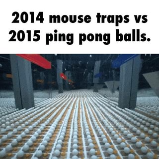mouse trap reviews 2015