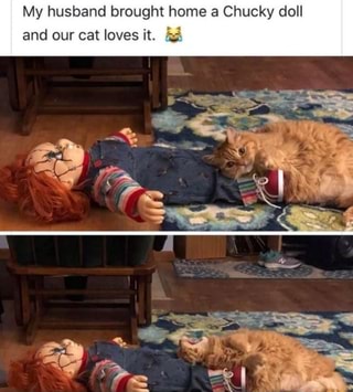 My husband bro and our cat loves