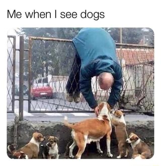 Me when I see dogs
