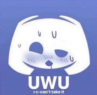 UwU Store © #2k – Discord