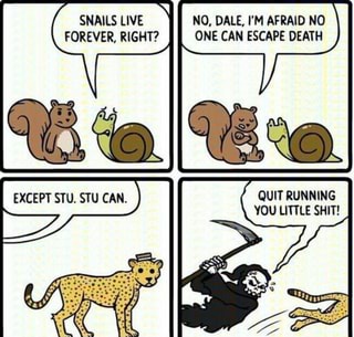 Snails Live No Dale I M Afraid No Forever Right One Can Escape Death Quit Running You Little Shit Ifunny