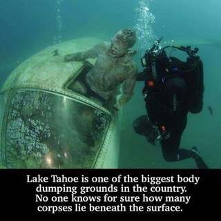 lake tahoe body ifunny corpses many