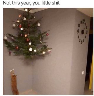 Not This Year You Little Shit Ifunny