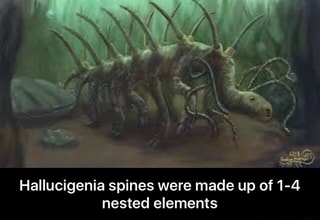 Hallucigenia memes. Best Collection of funny hallucigenia pictures on ...
