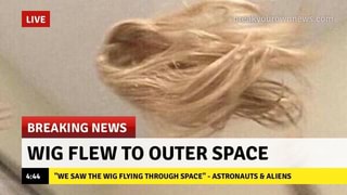 Risultato immagini per wig flew outer space gif
