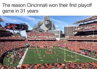 DomIsLive NEWS on X: Bengals DE Says the Team Wants to Win a Super Bowl to  Honor Harambe, Who Was Killed at the Cincinnati Zoo in 2016   / X