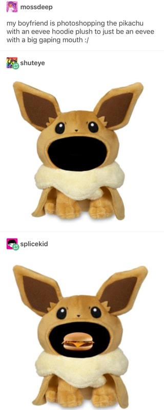 eevee hoodie plush