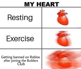 My Heart Resting Exercise Getting Banned On Roblox Afterjoinilaub The Builders Ifunny - getting banned on roblox