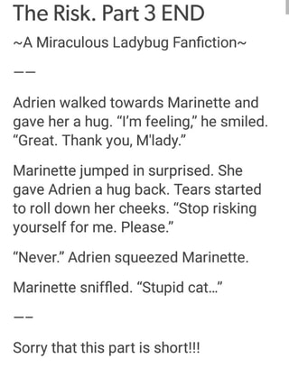 The Risk Part 3 End A Miraculous Ladybug Fanﬁction