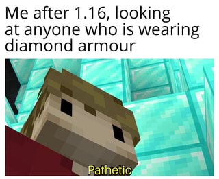 Me after 1.16, looking at anyone who is wearing diamond armour - iFunny :)